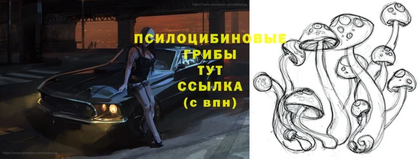 сатива Алексеевка