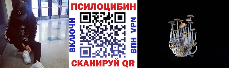Галлюциногенные грибы ЛСД  купить наркоту  Северская 